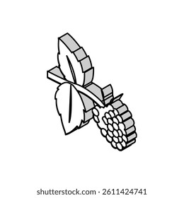 sweet raspberry fruit isometric icon vector. sweet raspberry fruit sign. isolated symbol illustration