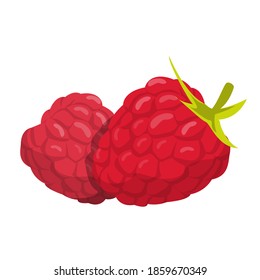 Sweet raspberry vector isolated. Natural nutrition, delicious red berries. Healthy fresh product. Ripe organic food.