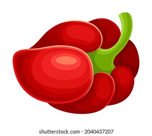 Ingrediente vegetal de pimiento morrón rojo dulce para la ilustración de vectores culinarios