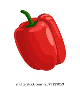Sweet red fresh pepper Vector illustration of ripe vegetable on white background, chilli pepper