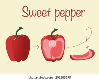Sweet red pepper. Natural raw food. Hand drawn.