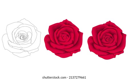  Rosas Rojas Dulces. Ilustración vectorial