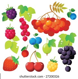 Sweet ripe berries in one file: ashberry, gooseberry, red currants, black currants, blueberry, cowberry, cherry, blackberry. Fresh and tasty.