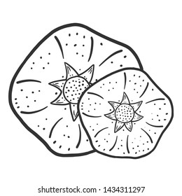 Sweet ripe pomegranate. Vector concept in doodle and sketch style. Hand drawn illustration for printing on T-shirts, postcards.