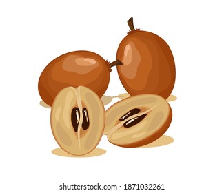 Sweet sapodilla fruit vector design, whole fruit and half