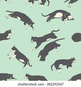 Sweet sleeping cats pattern in vector. Card with cats for your design.