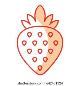sweet strawberry fruit 