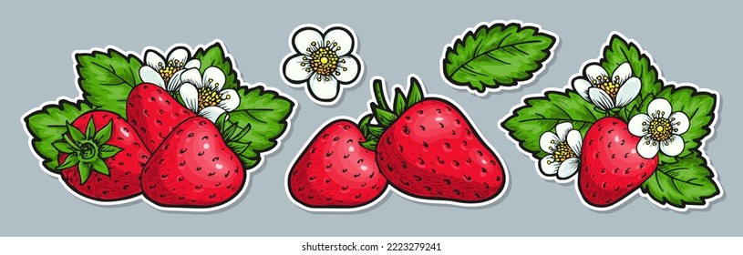 Sweet strawberry hand drawn stickers set. Whole red berries with leaves and flowers. Farmers market badges for organic fruit product, healthy eco food, packaging craft label, card, scrapbooking, tag