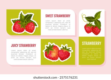 Sweet Strawberry Label Design with Ripe Bright Berry Vector Template