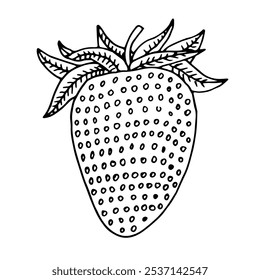 Sweet Strawberry sketch. Hand drawn ripe Berry element for decoration or design. Vector illustration.