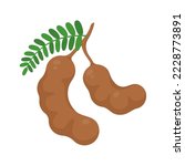 Sweet tamarind. A healthy fruit that is high in fiber. Help the digestive system for vegetarians