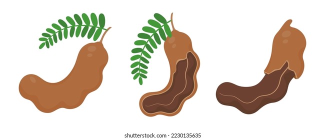 Sweet tamarind. A healthy fruit that is high in fiber. Help the digestive system for vegetarians