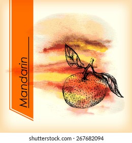 Sweet tangerines.  Pencil sketch  with watercolor spot on background.
