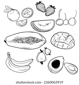 sweet tropical fruits icon for you