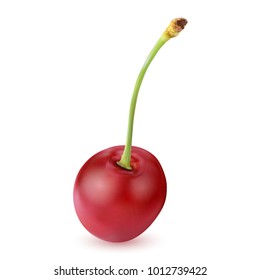 Sweet Vector 3D Realistic Cherry, isolated on white background. Ripe Red cherry with stalk. Sweet fruits. Red, ripe, juicy, fresh cherries with green twig 3d realistic vector on white background.