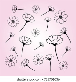 Sweet vector cosmos flowers hand drawn. black flower