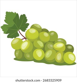 Dulce blanco moscatel uvas Vector gráfico blanco