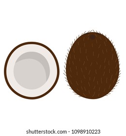 sweet whole coconut and cut coconut tropical exotic fruit brown white icon vector