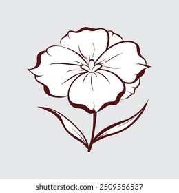 Sweet William flower vector artwork