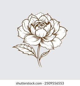 Obra de arte de Vector de flores de Sweet William