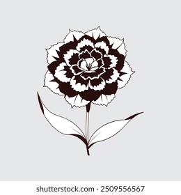 Sweet William flower vector artwork