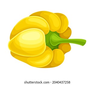 Ingrediente vegetal de pimienta amarilla dulce para vectores culinarios Ilustración