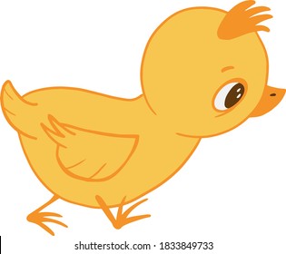 Sweet yellow easter chicken.Little chicks isolated on white background.Cute baby chick, hand drawn vector illustration.Character chicks,colorful drawing illustration for kids.