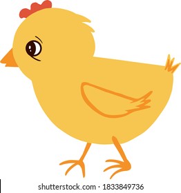 Pollo amarillo dulce de Pascua. Pequeñas pollitas aisladas en fondo blanco. Patata de bebé, ilustración de vector dibujada a mano. Pollitos de carácter, ilustración de dibujos coloridos para los niños.