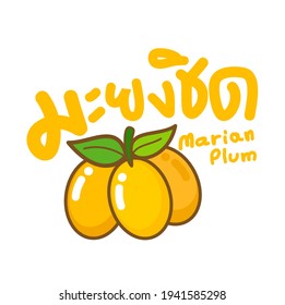 Sweet Yellow Marian Plum  in Thai language it mean “Sweet Yellow Marian Plum”