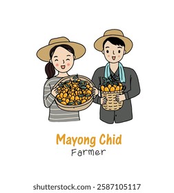 Sweet Yellow Marian Plum in Thai language "Mayong Chid" hand drawn style vector illustration