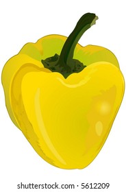 Sweet yellow pepper. Drawing.