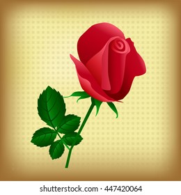 Sweetheart rose