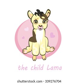 Sweetie, baby llamas, newborn sitting. Greeting card or kids print. Small lama alpaca.