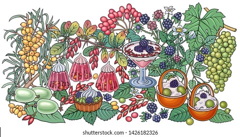 Sweets, berries, fruits, drinks hand drawn vector doodles illustration. Nature and food elements and objects cartoon background.  
