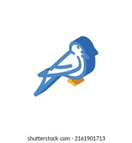 swift bird isometric icon vector. swift bird sign. isolated symbol illustration