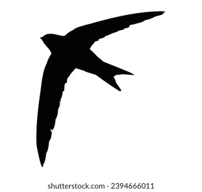 Swift bird logo vector icon illustration.