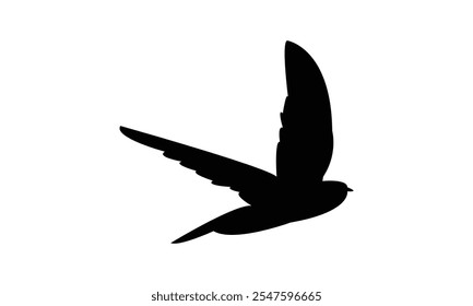 Swift Bird Silhouette Design  And Vector Illustration. 