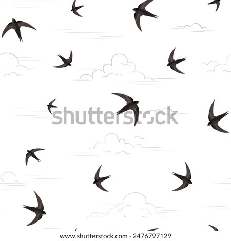 Swift birds flying in the sky. Seamless vector pattern