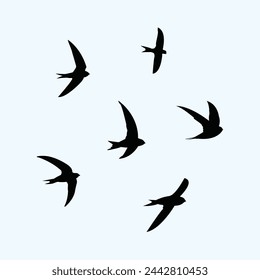 Swift Birds silhouette vector illustration