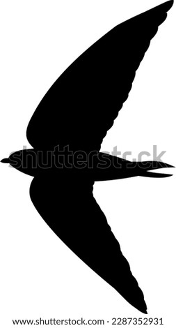 swift vector silhouette black one