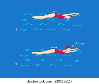 Swim in a butterfly while breathing every other cycle, correctly coordinating the movements of the arms and legs. Swim with high intensity as long as you manage to move your hands above the water.