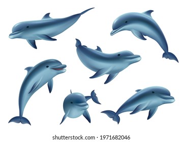 Swim dolphins. Aquarium or ocean underwater marine animals big funny and kind fishes decent vector 3d dolphins in action poses