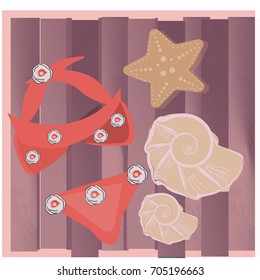 Swim suit and seashells on wooden background. Vector mockup