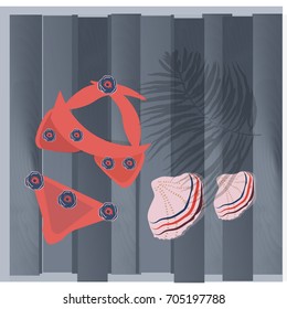 Swim suit and seashells on wooden background. Vector mockup