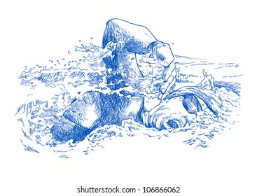 swimmer in freestyle (crawl), hand drawing converted to vector
