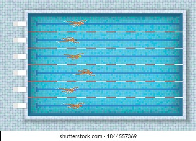 Swimmers are swimming in swimming pool. Top view. Ripped water in sport pool. View from above.