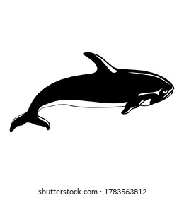 Swimming Black Orca Aquatic Animal Design