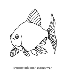 swimming decorative aquarium fish, barbus with tail and fin, home pet, vector illustration with black contour lines isolated on white background in Doodle and hand drawn style