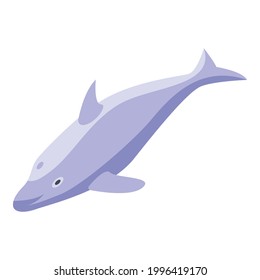 Swimming dolphin icon. Isometric of Swimming dolphin vector icon for web design isolated on white background
