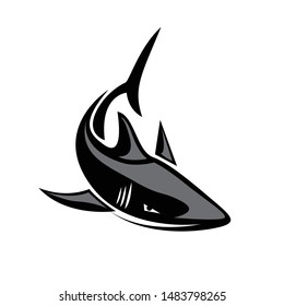 swimming down shark logo up view logo design inspiration